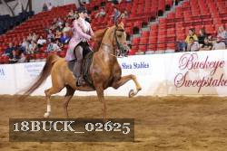18BUCK_02625 proof
