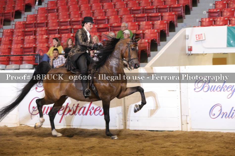 Proof 18BUCK_02626