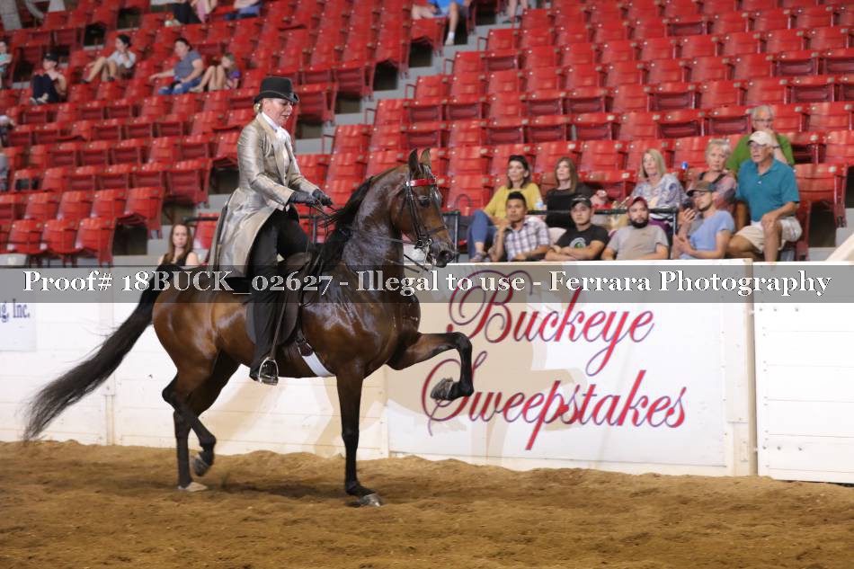 Proof 18BUCK_02627