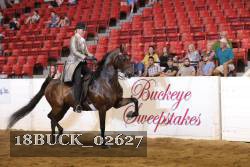 18BUCK_02627 proof