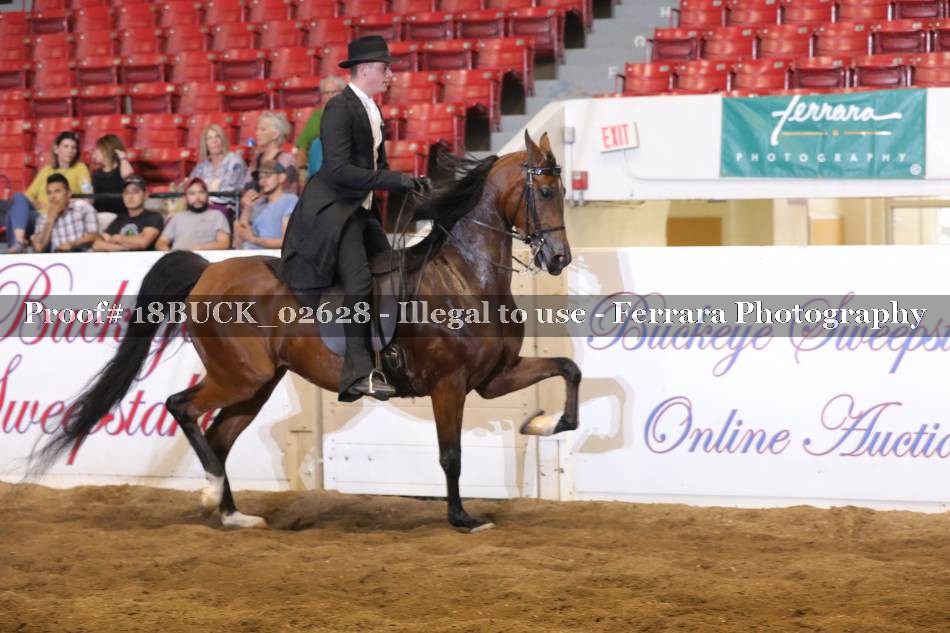 Proof 18BUCK_02628