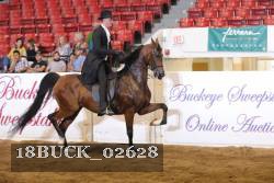 18BUCK_02628 proof