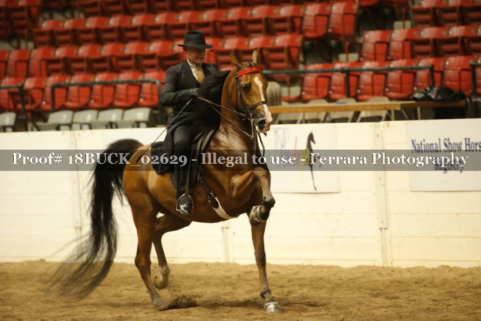 Proof 18BUCK_02629