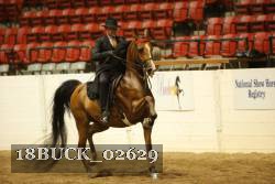 18BUCK_02629 proof