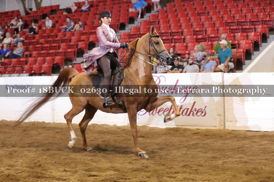 Proof 18BUCK_02630