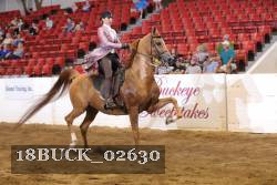 18BUCK_02630 proof
