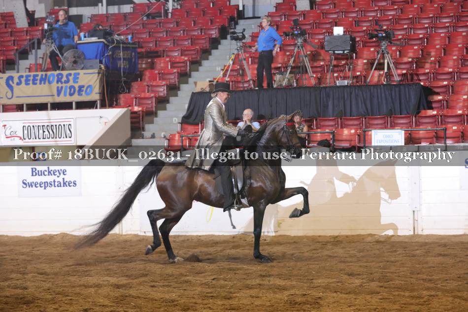 Proof 18BUCK_02631