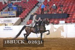18BUCK_02631 proof
