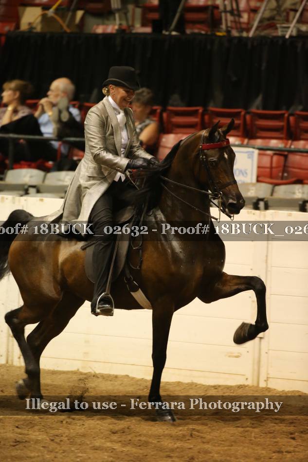 Proof 18BUCK_02632