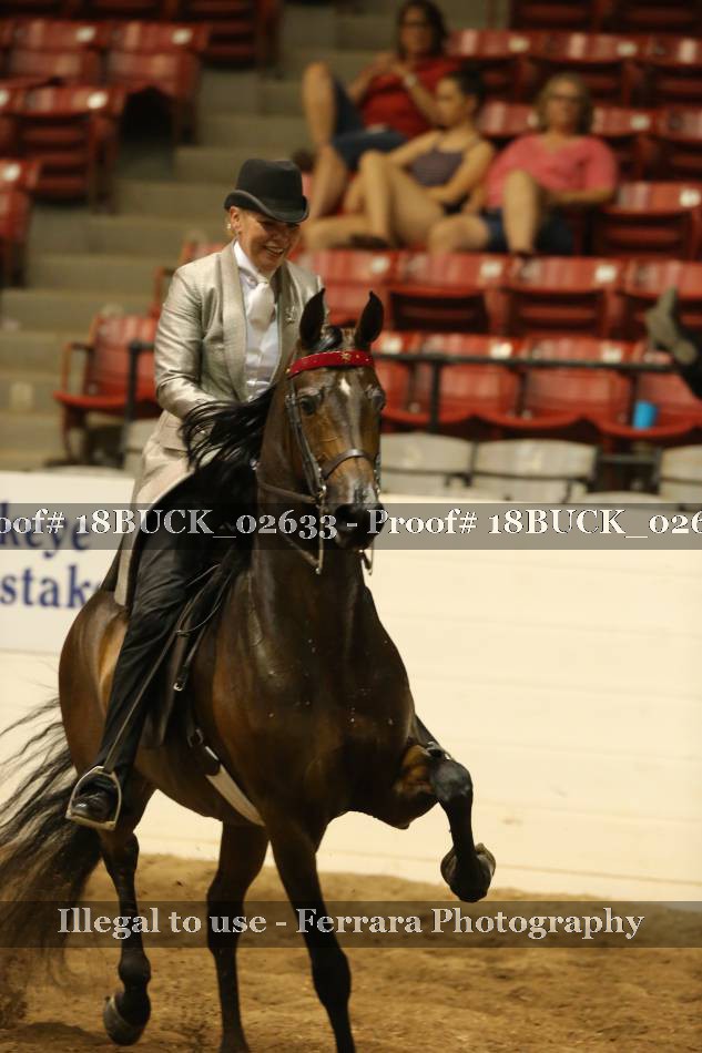 Proof 18BUCK_02633