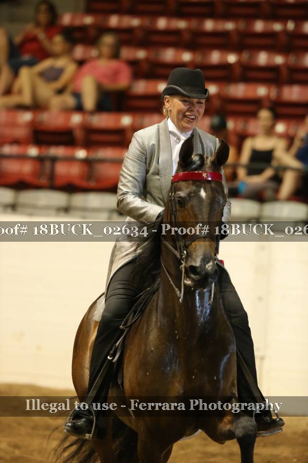 Proof 18BUCK_02634