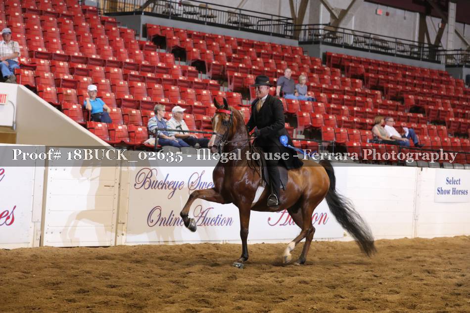 Proof 18BUCK_02635