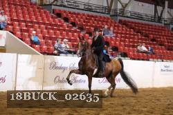 18BUCK_02635 proof
