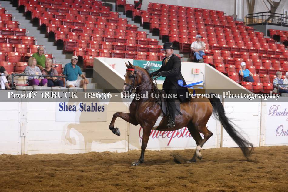 Proof 18BUCK_02636