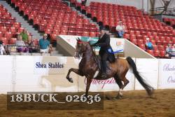 18BUCK_02636 proof