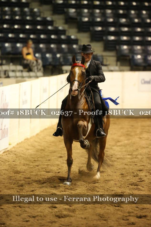 Proof 18BUCK_02637