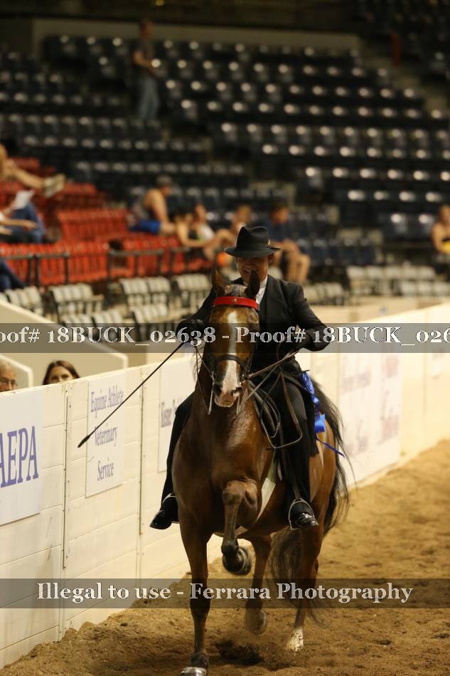 Proof 18BUCK_02638