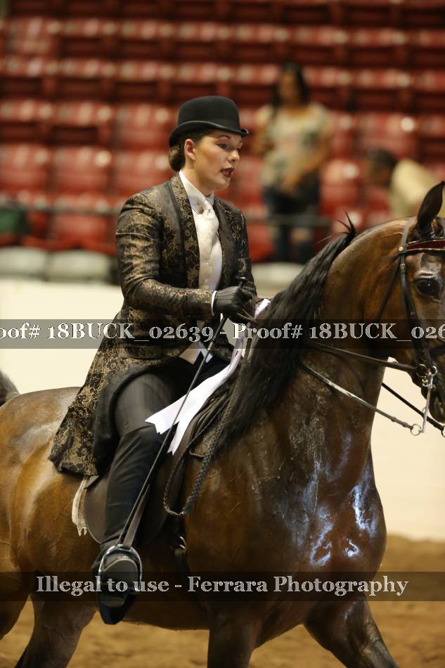 Proof 18BUCK_02639