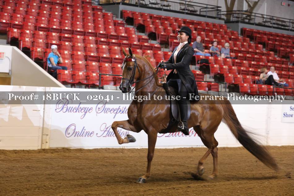Proof 18BUCK_02641