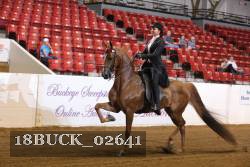 18BUCK_02641 proof