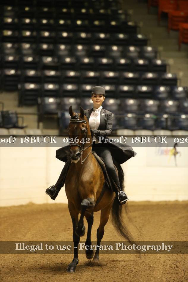 Proof 18BUCK_02642