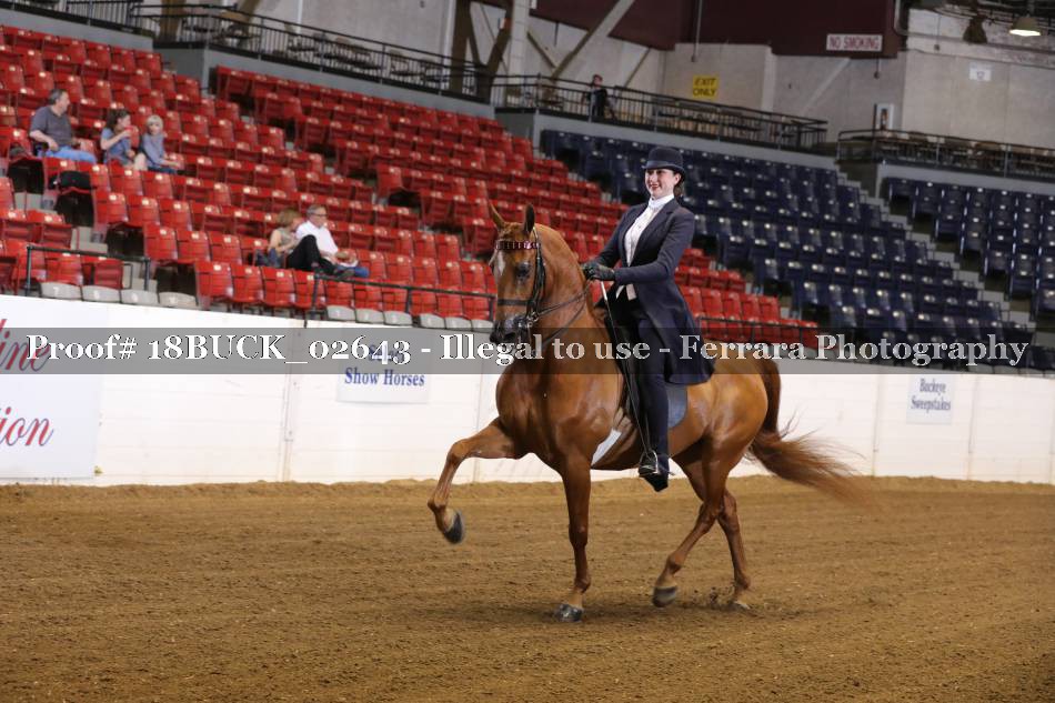 Proof 18BUCK_02643