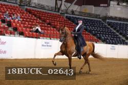 18BUCK_02643 proof