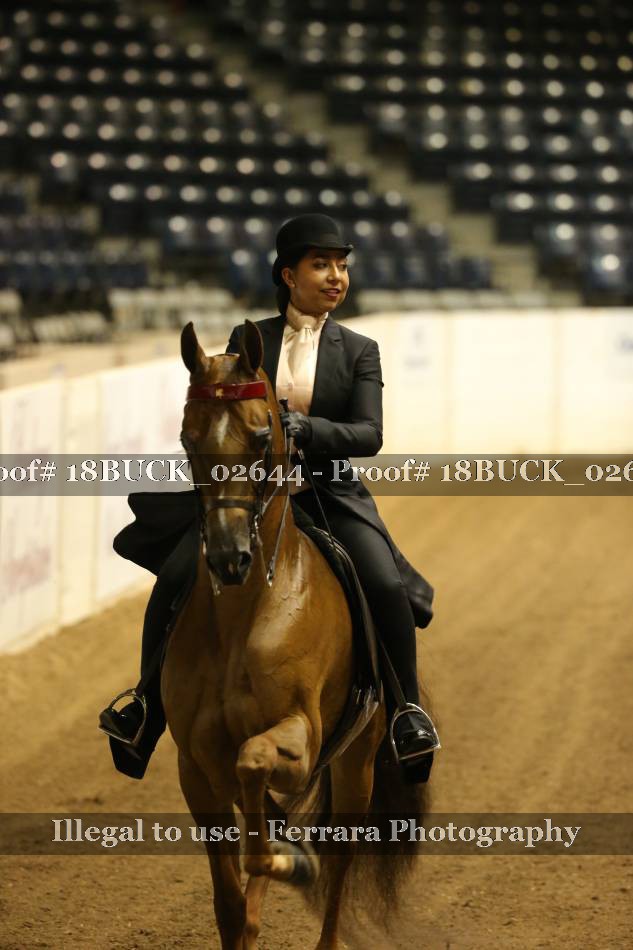 Proof 18BUCK_02644