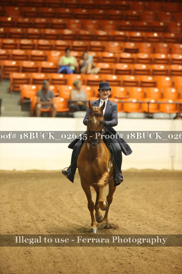 Proof 18BUCK_02645