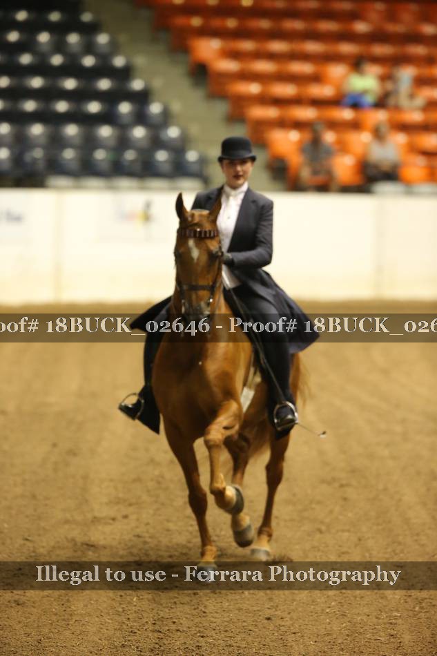 Proof 18BUCK_02646