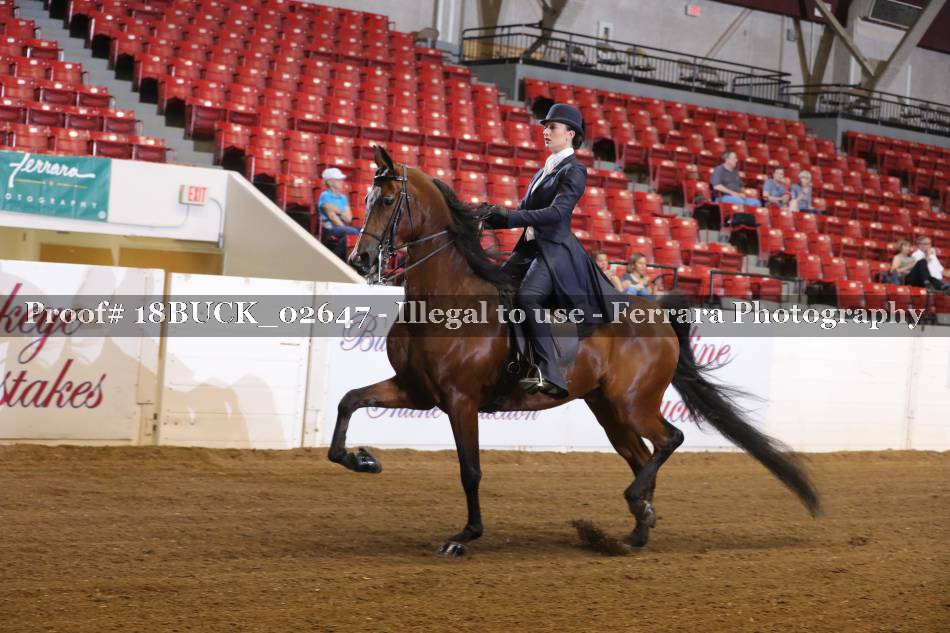 Proof 18BUCK_02647