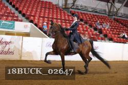 18BUCK_02647 proof