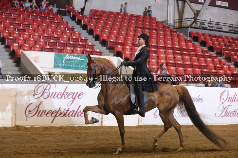 Proof 18BUCK_02649