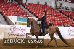 18BUCK_02649 proof