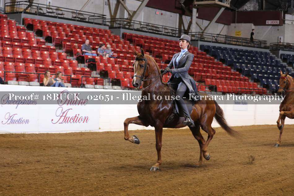 Proof 18BUCK_02651