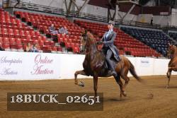 18BUCK_02651 proof
