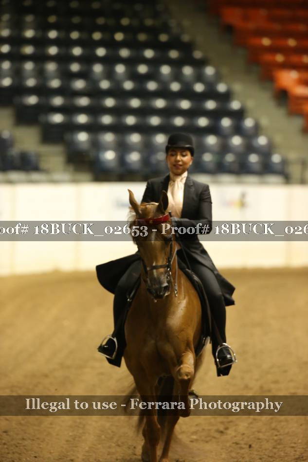 Proof 18BUCK_02653
