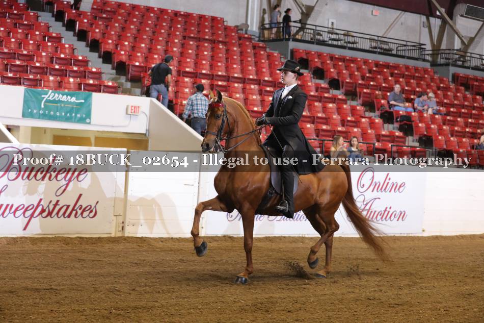 Proof 18BUCK_02654