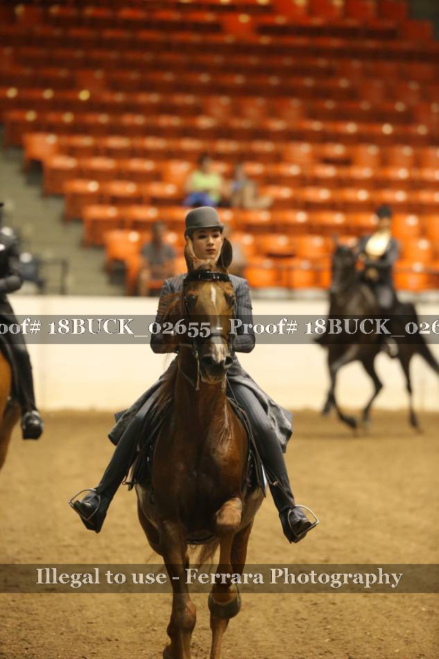 Proof 18BUCK_02655