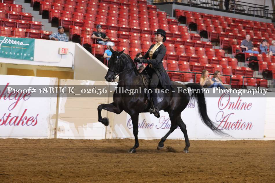 Proof 18BUCK_02656