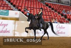18BUCK_02656 proof