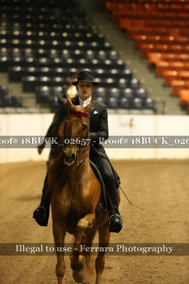 Proof 18BUCK_02657