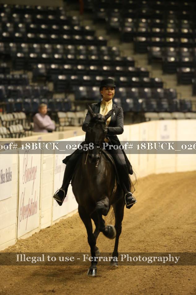 Proof 18BUCK_02658