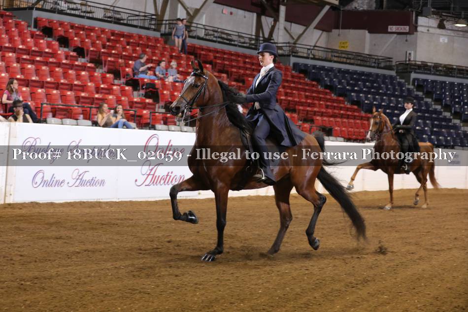 Proof 18BUCK_02659