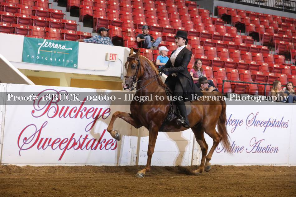 Proof 18BUCK_02660