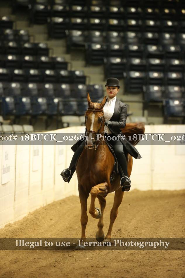 Proof 18BUCK_02661