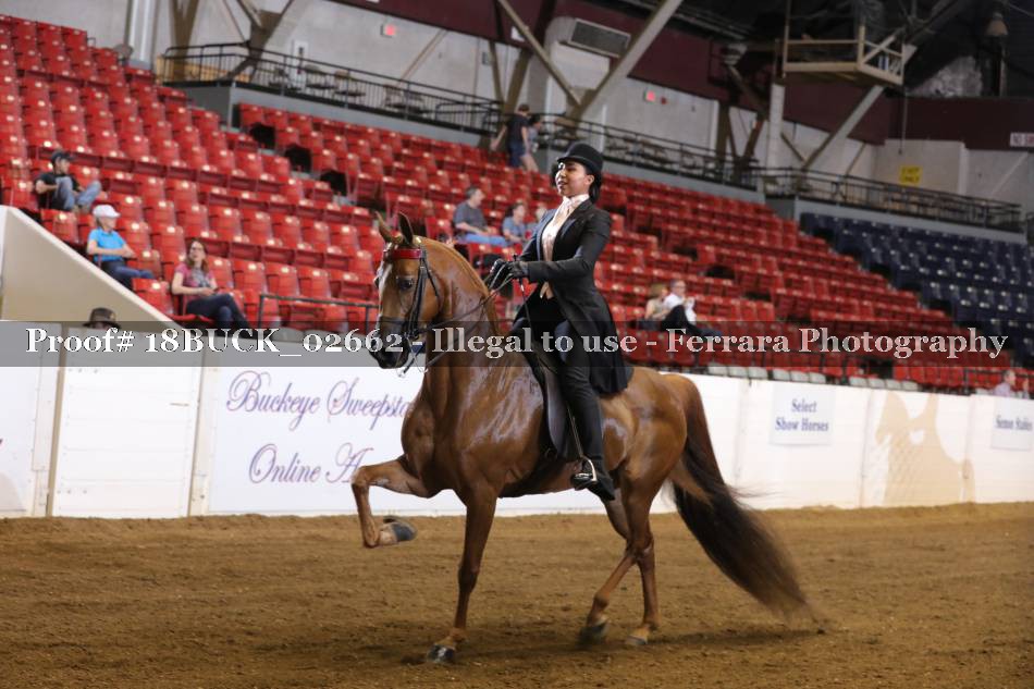 Proof 18BUCK_02662