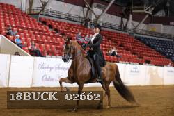 18BUCK_02662 proof