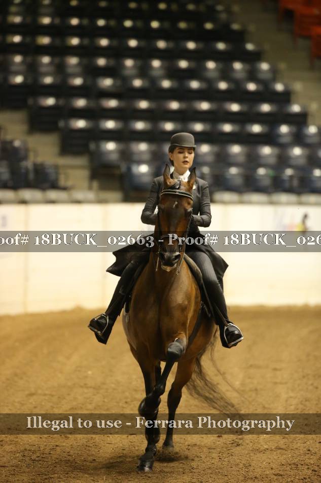 Proof 18BUCK_02663