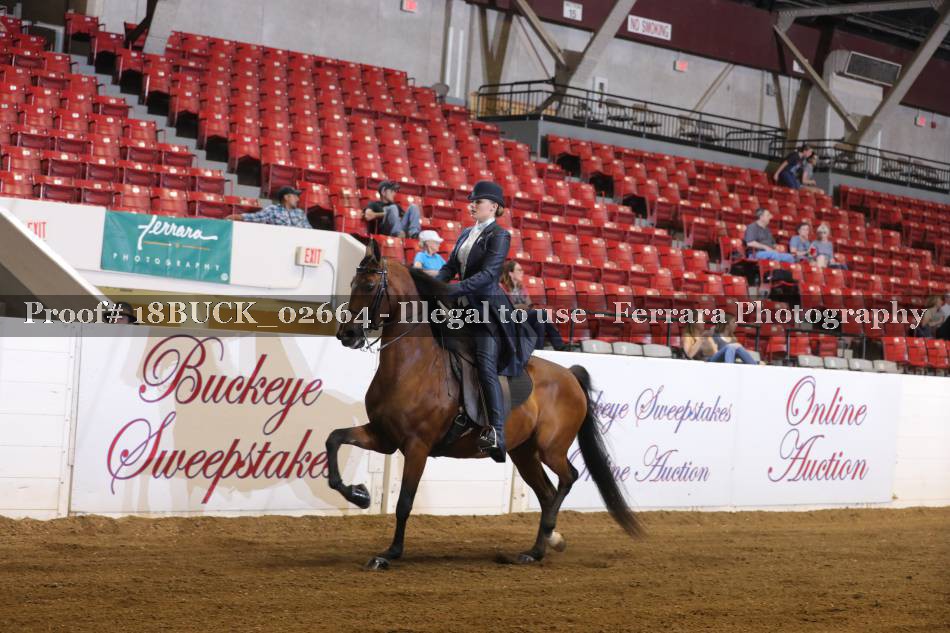Proof 18BUCK_02664